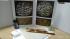 Arabic Calligraphy Set (Qalams,Ink,Lika,Inkwell,Papers,SULUS book) - ANKARA